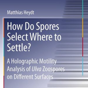 How Do Spores Select Where to Settle? A Holographic Motility Analysis of Ulva Zoospores on Different Surfaces How Do Spores Select Where to Settle? A Holographic Motility Analysis of Ulva Zoospores on Different Surfaces