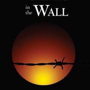 Games in the Wall Games in the Wall
