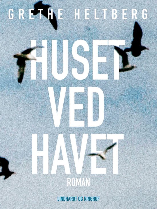 Huset ved havetEbook
