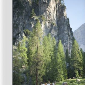 Les vaches paissent près d&rsquo;une montagne 60×90 cm – Tirage photo sur toile (Décoration murale salon / chambre) / Animaux de la ferme Peintures sur toile