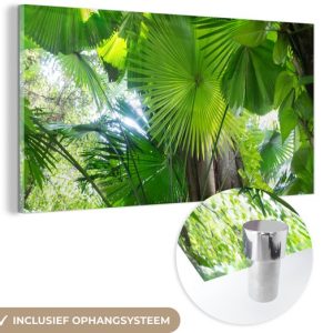 MuchoWow® Peinture sur verre 160×80 cm – Peinture sur verre acrylique – Forêt tropicale – Photo sur verre – Peintures