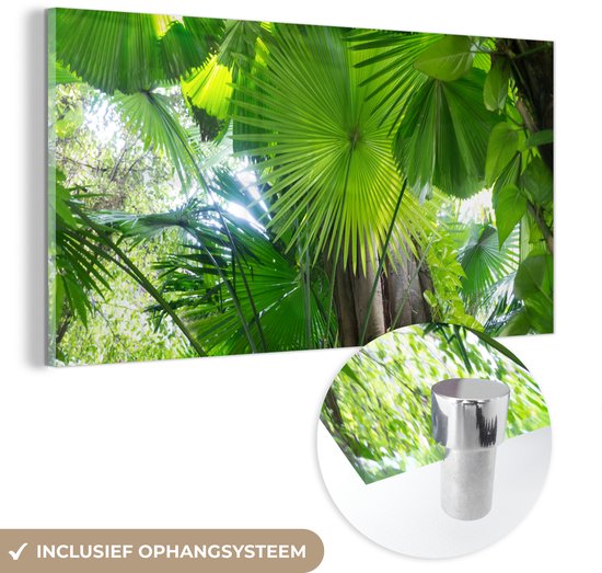 MuchoWow® Peinture sur verre 160x80 cm - Peinture sur verre acrylique - Forêt tropicale - Photo sur verre - Peintures