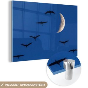 Grues européennes volant devant la lune Plexiglas 180×120 cm – Tirage photo sur Glas (décoration murale plexiglas) XXL / Groot format! Grues européennes volant devant la lune Plexiglas 180×120 cm – Tirage photo sur Glas (décoration murale plexiglas) XXL / Groot format!