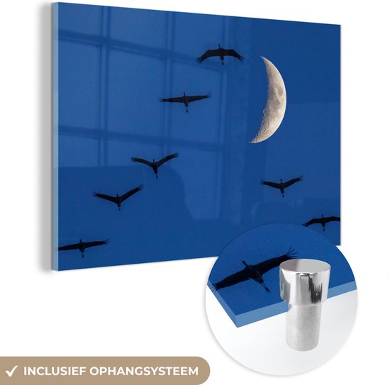 Grues européennes volant devant la lune Plexiglas 180x120 cm - Tirage photo sur Glas (décoration murale plexiglas) XXL / Groot format!