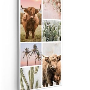 Highlander écossais – Plante succulente – Pastel – Toile – 20×40 cm – Décoration murale Highlander écossais – Plante succulente – Pastel – Toile – 20×40 cm – Décoration murale