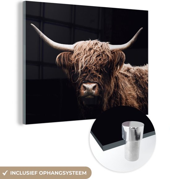 MuchoWow® Peinture sur Verre - Highlander écossais - Zwart - Corne - 160x120 cm - Peintures sur Verre Peintures - Photo sur Glas