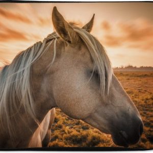 Housse ordinateur 15 pouces – Cheval – Animaux – Portrait – Housse ordinateur