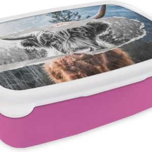 Lunch box Rose – Lunch box – Boîte à pain – Highlander écossais – Vache – Zwart – Wit – 18x12x6 cm – Enfants – Fille Lunch box Rose – Lunch box – Boîte à pain – Highlander écossais – Vache – Zwart – Wit – 18x12x6 cm – Enfants – Fille