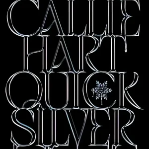 Quicksilver: the utterly addictive enemies-to-lovers romantasy sensation Quicksilver: the utterly addictive enemies-to-lovers romantasy sensation