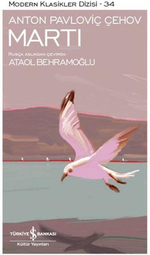ISBN 9786053321262, jeux, Turc, Livre broché, 94 pages