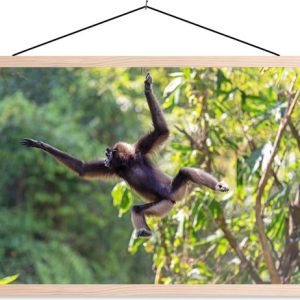 Jumping monkey in the jungle poster textielposter lattes vierges 120×80 cm – Tirage photo sur plaque école (décoration murale salon / chambre) Jumping monkey in the jungle poster textielposter lattes vierges 120×80 cm – Tirage photo sur plaque école (décoration murale salon / chambre)