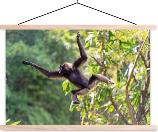 Jumping monkey in the jungle poster textielposter lattes vierges 120x80 cm - Tirage photo sur plaque école (décoration murale salon / chambre)