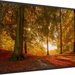 Image encadrée – Cadre photo couleurs d’automne en forêt noir sans passe partout 120×80 cm – Affiche encadrée (Décoration murale salon / chambre) Image encadrée – Cadre photo couleurs d’automne en forêt noir sans passe partout 120×80 cm – Affiche encadrée (Décoration murale salon / chambre)
