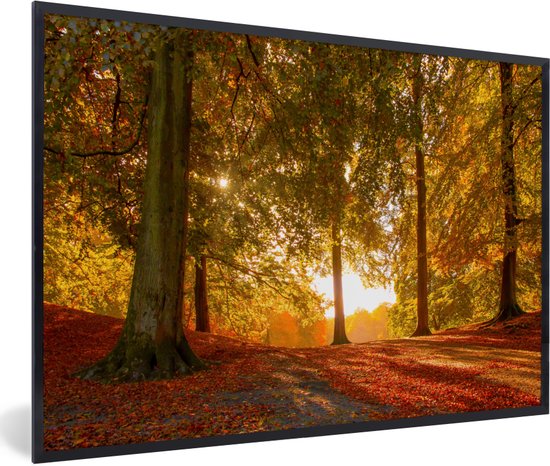 Image encadrée - Cadre photo couleurs d'automne en forêt noir sans passe partout 120x80 cm - Affiche encadrée (Décoration murale salon / chambre)