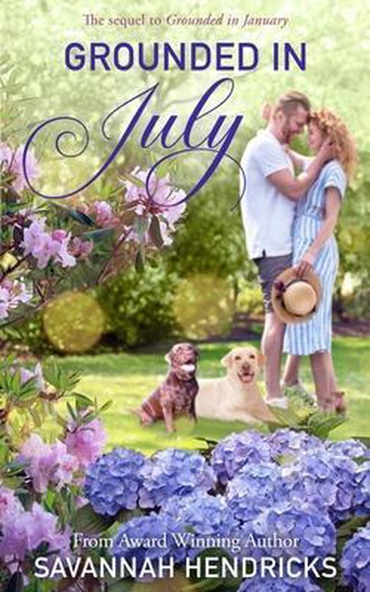 Grounded in July The Sequel to Grounded in January