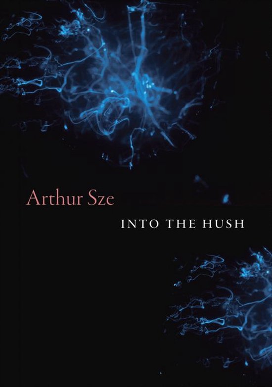 Into the HushEbook