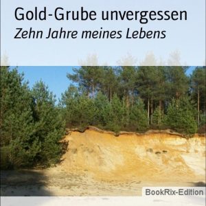 Gold-Grube unvergessenEbook Zehn Jahre meines Lebens