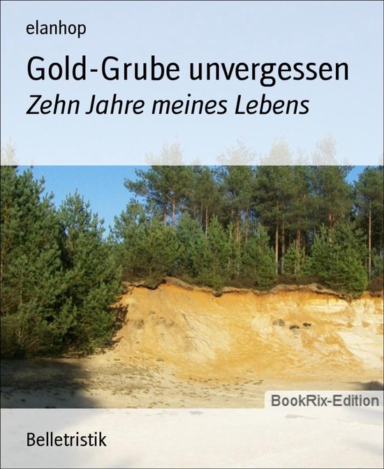 Gold-Grube unvergessenEbook Zehn Jahre meines Lebens