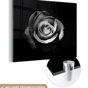 MuchoWow® Peinture sur verre 160×120 cm – Peinture sur verre acrylique – Fleurs – Zwart – Rose – Wit – Botanique – Photo sur verre – Peintures MuchoWow® Peinture sur verre 160×120 cm – Peinture sur verre acrylique – Fleurs – Zwart – Rose – Wit – Botanique – Photo sur verre – Peintures