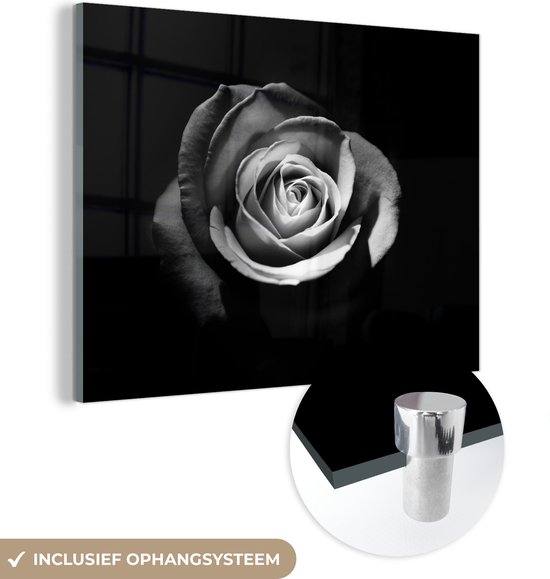 MuchoWow® Peinture sur verre 160x120 cm - Peinture sur verre acrylique - Fleurs - Zwart - Rose - Wit - Botanique - Photo sur verre - Peintures