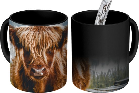 Mug Magique - Photo sur Mugs Chauffants - Tasse à Café - Vaches - Highlander écossais - Marron - Nature - Mug Magic - Tasse - 350 ML - Tasse à Thé