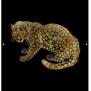 Image Vintage d’un jaguar africain en or sur fond blanc 120×180 cm XXL / Groot format! Image Vintage d’un jaguar africain en or sur fond blanc 120×180 cm XXL / Groot format!