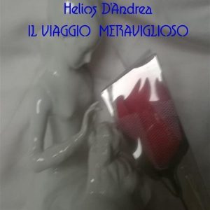 Il viaggio meravigliosoEbook