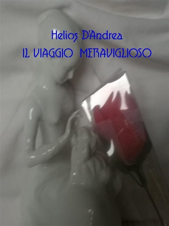 Il viaggio meravigliosoEbook