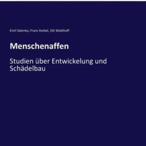 Menschenaffen Études sur l&rsquo;ingénierie et la construction de structures