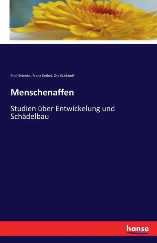 Menschenaffen Études sur l'ingénierie et la construction de structures