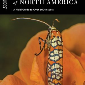 Insects of North America A Field Guide to Over 300 Insects Insects of North America A Field Guide to Over 300 Insects