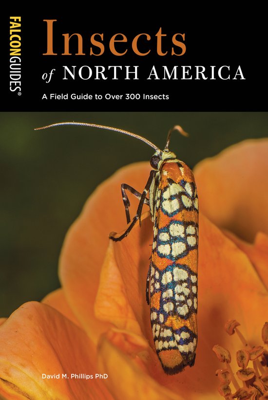 Insects of North America A Field Guide to Over 300 Insects