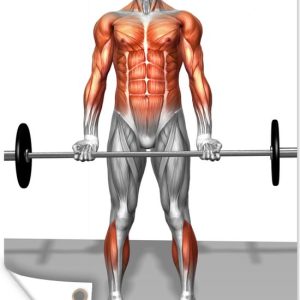 Illustration de la position finale d’un poster de jardin deadlift 60×90 cm – Toile de jardin / Toile d’extérieur / Peintures d’extérieur (décoration de jardin) Illustration de la position finale d’un poster de jardin deadlift 60×90 cm – Toile de jardin / Toile d’extérieur / Peintures d’extérieur (décoration de jardin)