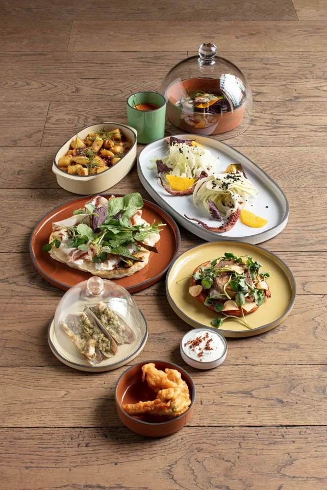 Caractere Gourmet Schale Kurkuma – Image 3