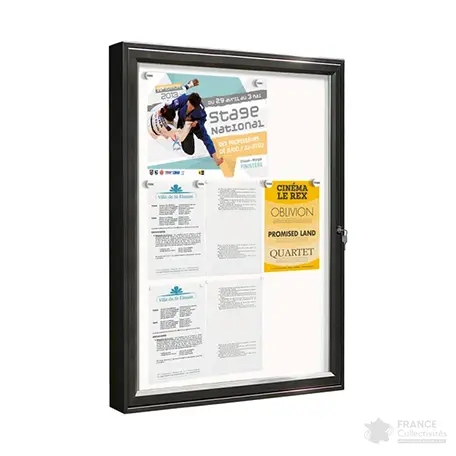 Vitrine Classique battante murale ou sur poteaux