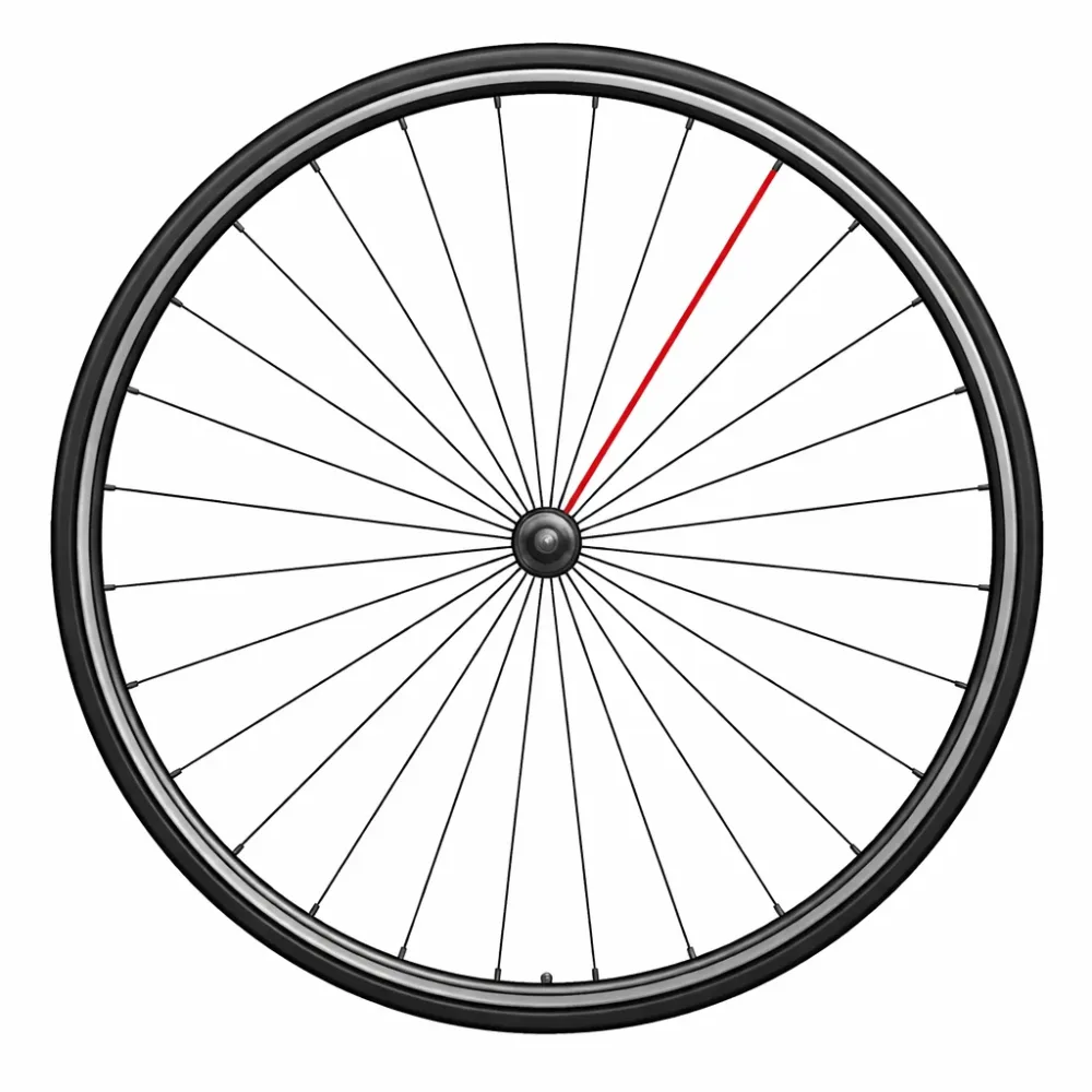 Rayon CAMPAGNOLO SHAMAL C17 Avant (x1)