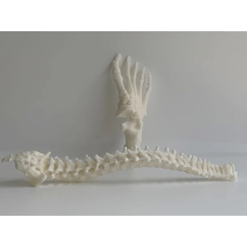 Lattice Services ABS Medical – Image 2