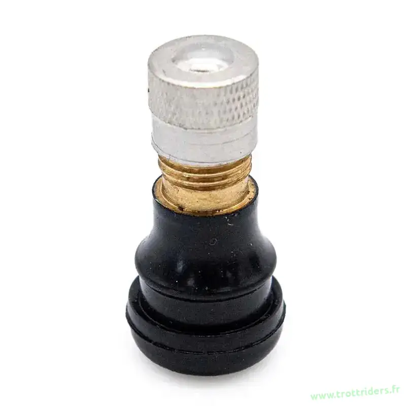 Valve Tubeless Trottinette Électrique