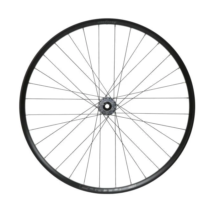 Roue avant HOPE FORTUS 30 W SC 29" PRO 5 15x110 mm Boost Argent