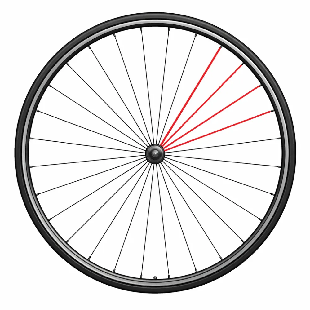 kit de 4 Rayons CAMPAGNOLO + Écrous LEVANTE DISC Arrière Droit 291mm