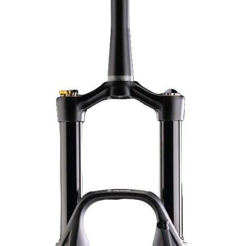Fourche FORMULA SELVA S 29" Axe 15x110mm Boost Noir – Image 2