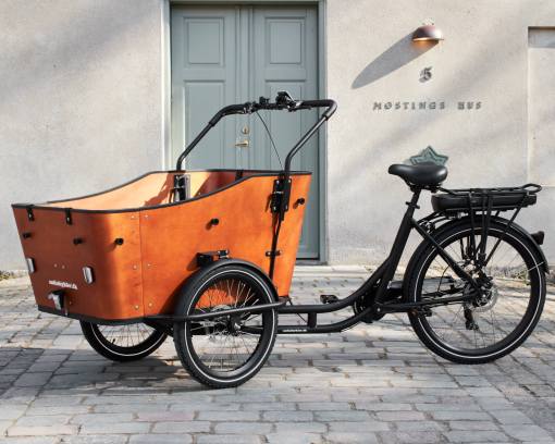 Le Triporteur Ultimate Harmonie – Image 3